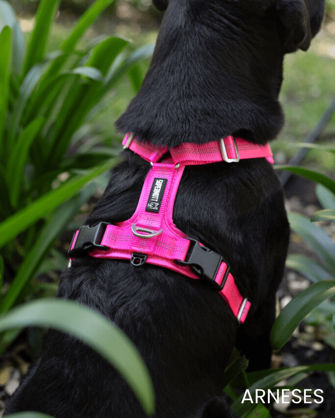 Arnés ergonómico para perro Supermutt color rosa con ajuste seguro.